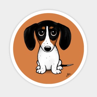 Piebald Dachshund Cute Puppy Dog Magnet